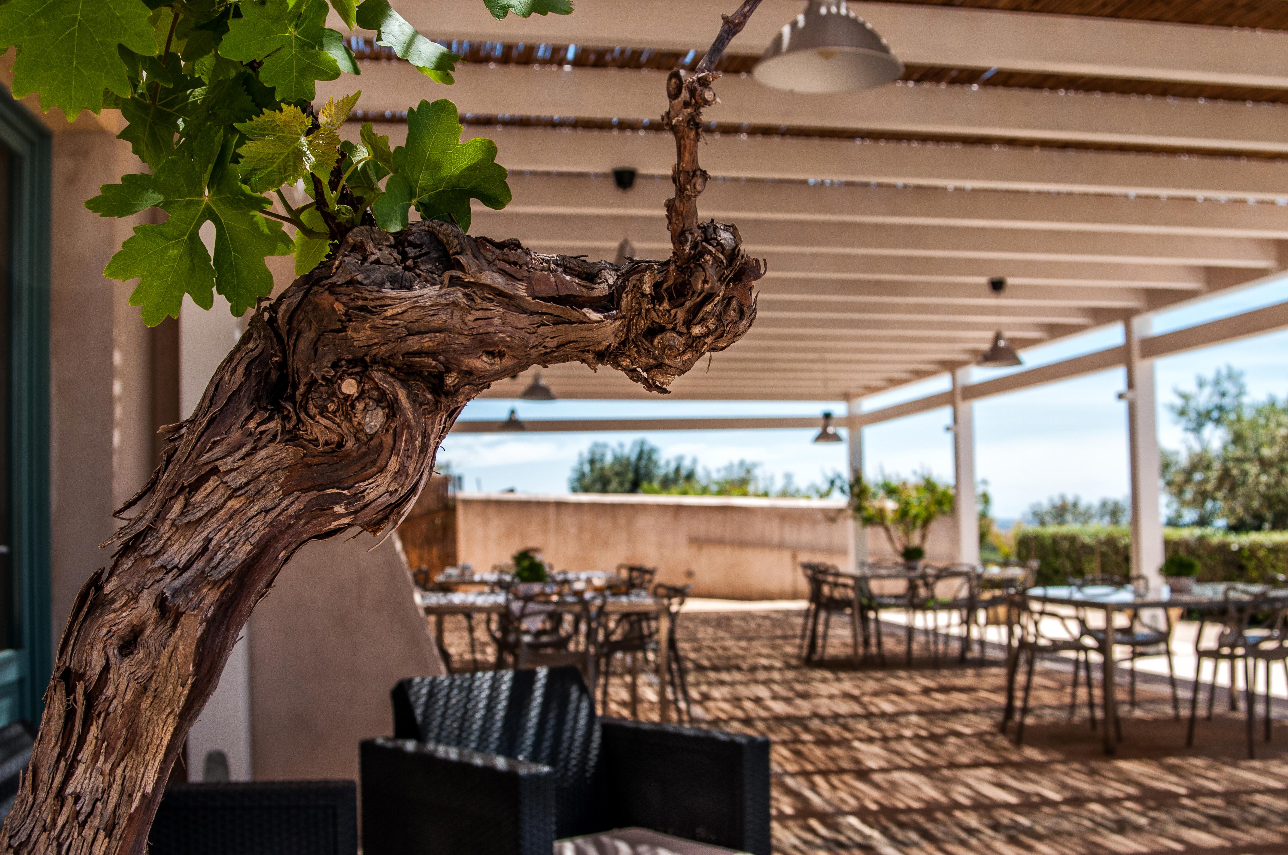 Relais Casina Miregia Hotel 3*